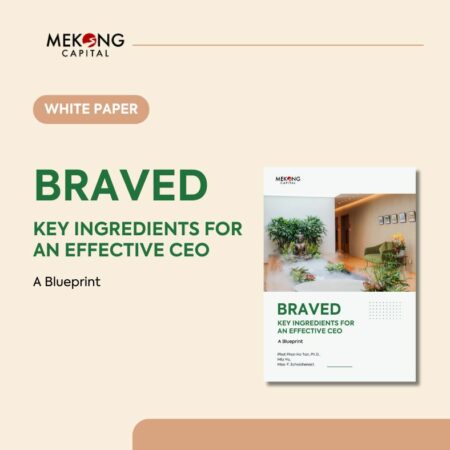 BRAVED – Key Ingredients for an effective CEO – A Blueprint by Mekong Capital