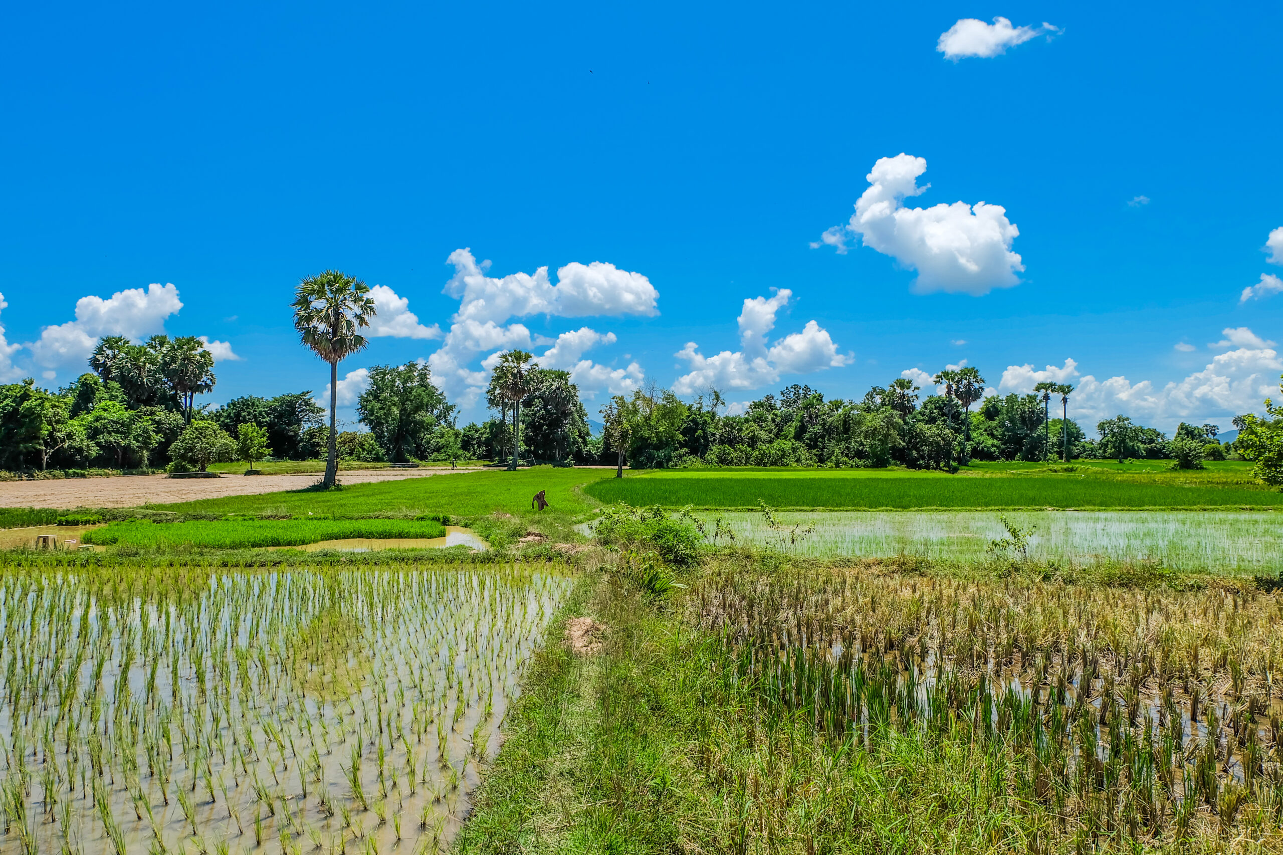 HUSK’s Revolution in Farming: The Quest to Empower Farmers and Revitalize Soil